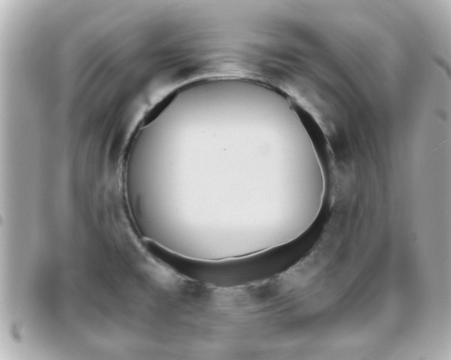 X0000096201477200801251002