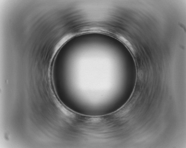 X0000096201482200801251002