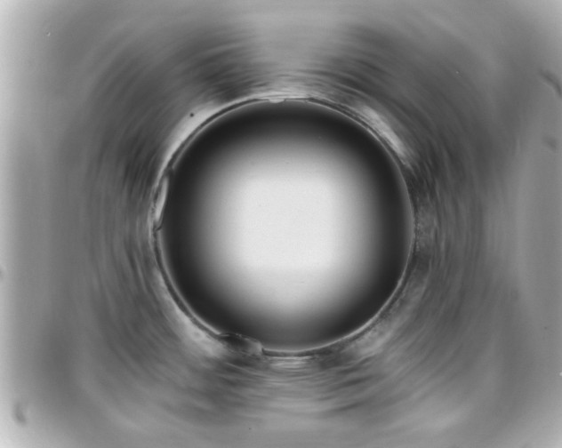 X0000096201484200801251002