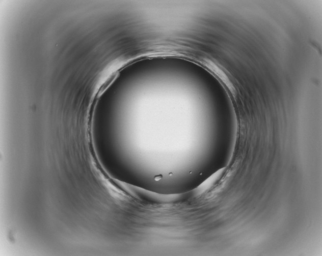 X0000096201485200801251002