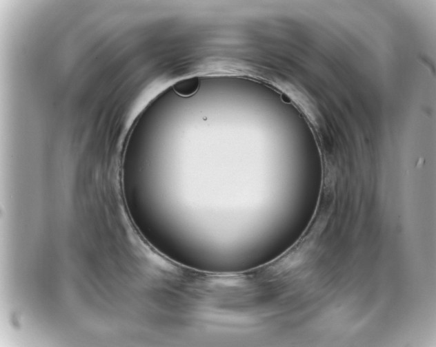 X0000096201486200801251002