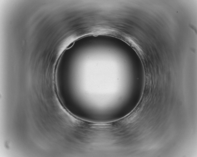 X0000096201487200801251002