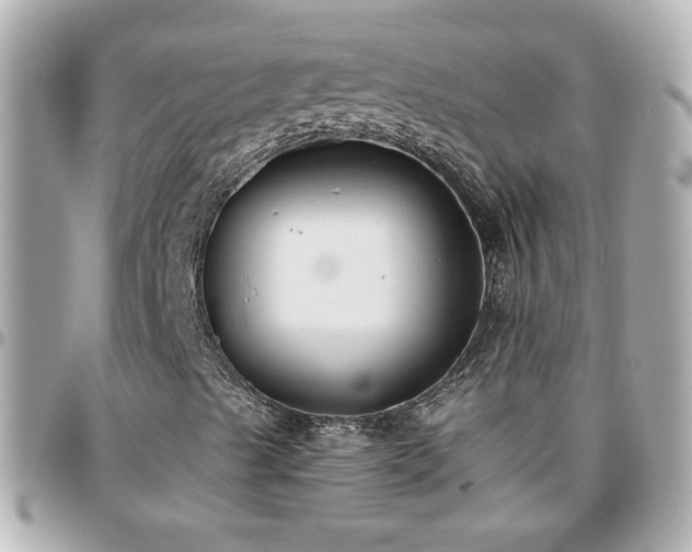 X0000096201489200801251001