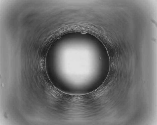 X0000096201490200801251001