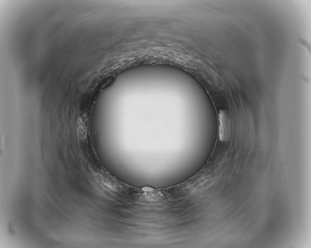 X0000096201491200801251001