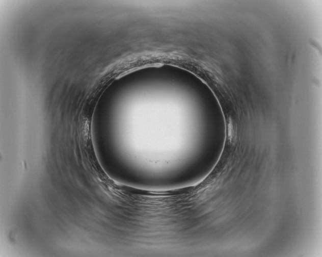 X0000096201492200801251001