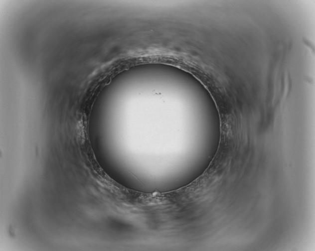 X0000096201493200801251001