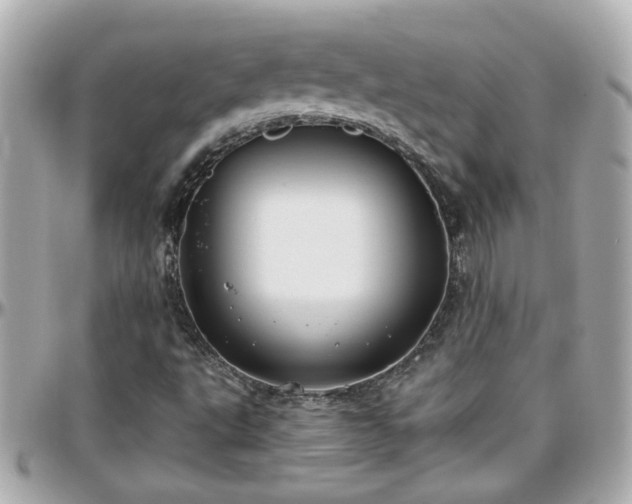 X0000096201495200801251001