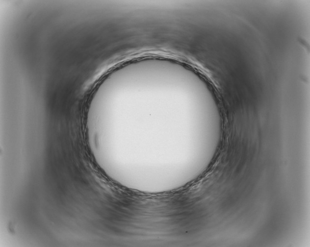 X0000096201496200801251001
