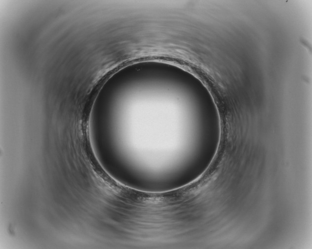 X0000096201497200801251001
