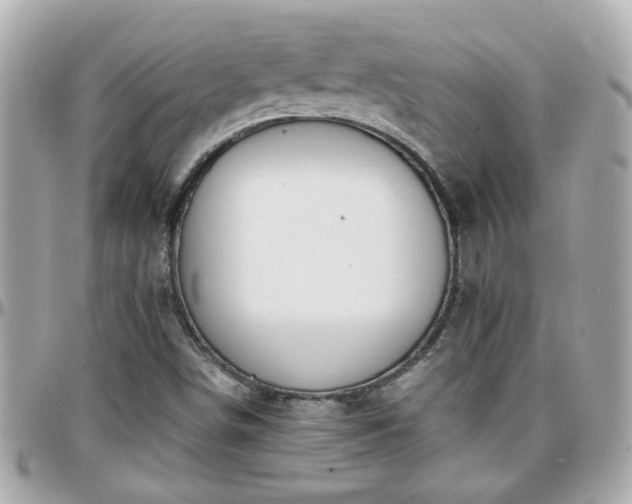 X0000096201498200801251001