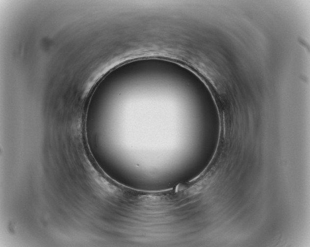 X0000096201500200801251001