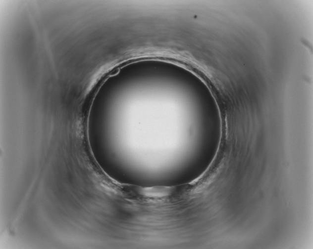 X0000096201501200801251001