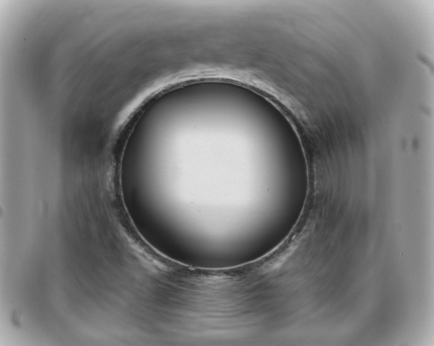 X0000096201502200801251001
