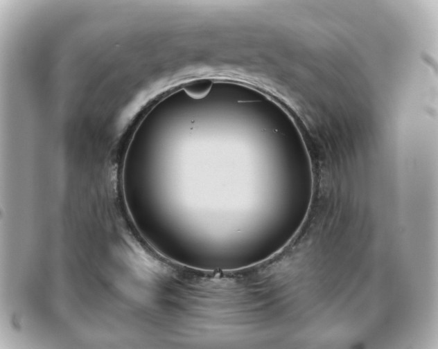 X0000096201503200801251001