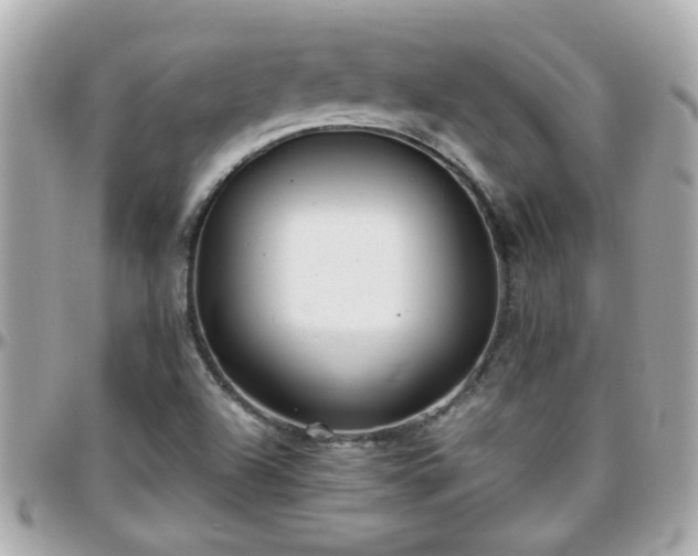X0000096201504200801251001