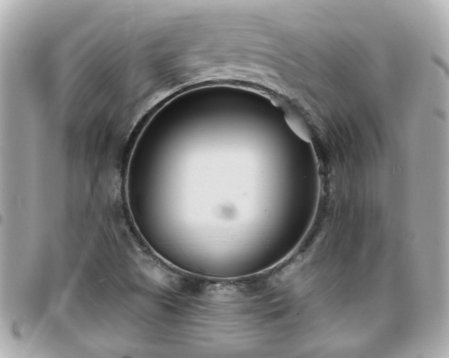 X0000096201505200801251001
