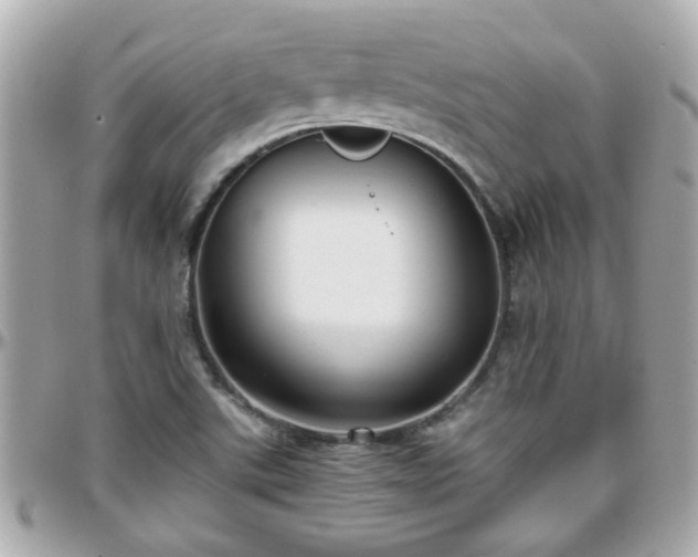 X0000096201507200801251001