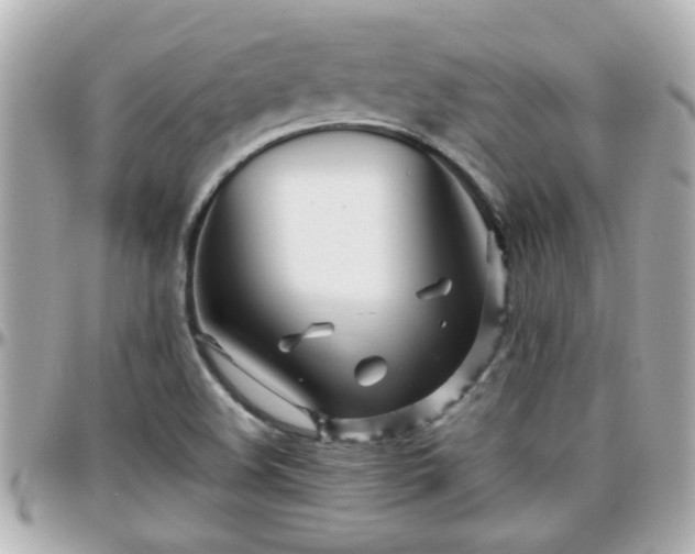 X0000096201508200801251001