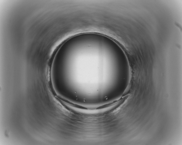 X0000096201510200801251001