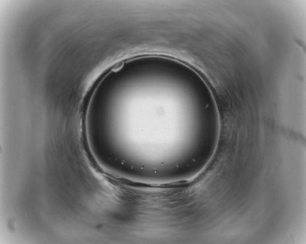 X0000096201511200801251001