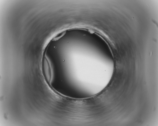 X0000096201512200801251001