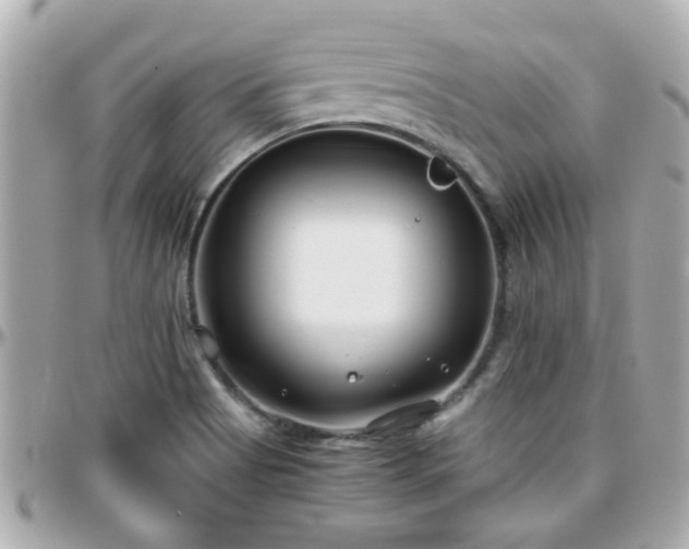 X0000096201513200801251001