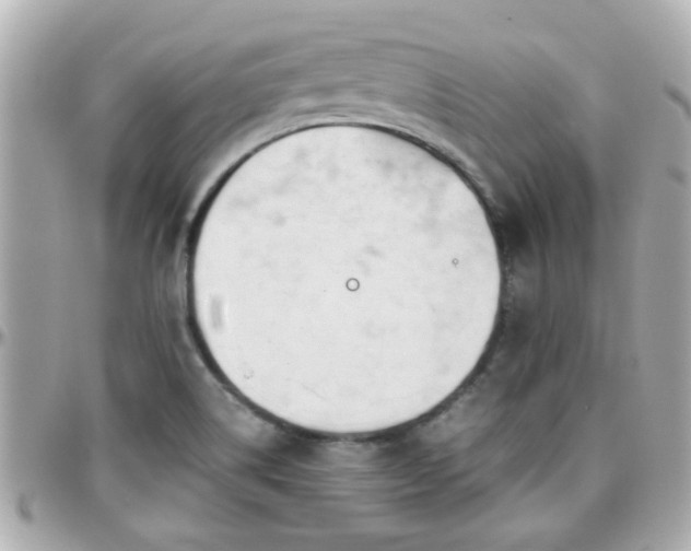 X0000096201514200801251001