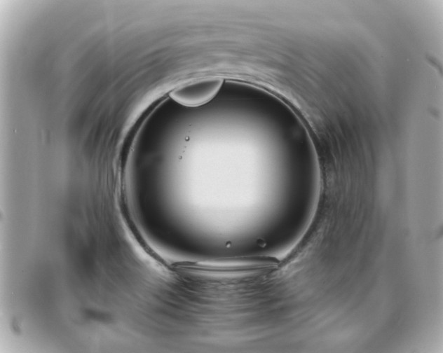 X0000096201515200801251001