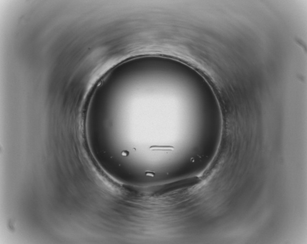 X0000096201517200801251001