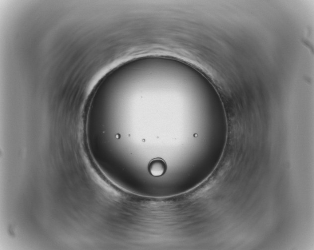 X0000096201518200801251001
