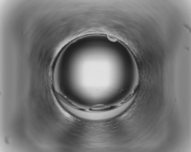 X0000096201519200801251001