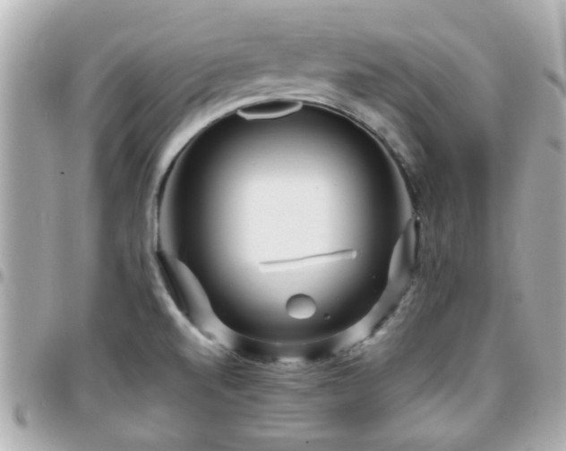 X0000096201520200801251001