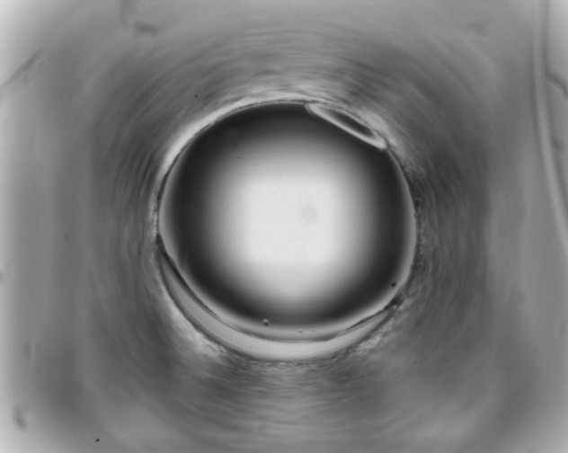 X0000096201524200801251002