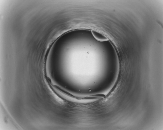 X0000096201525200801251002