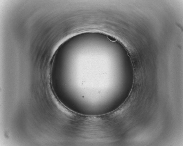 X0000096201526200801251002