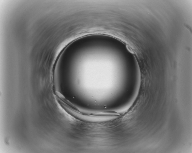 X0000096201527200801251002