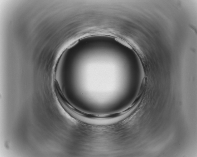 X0000096201528200801251002