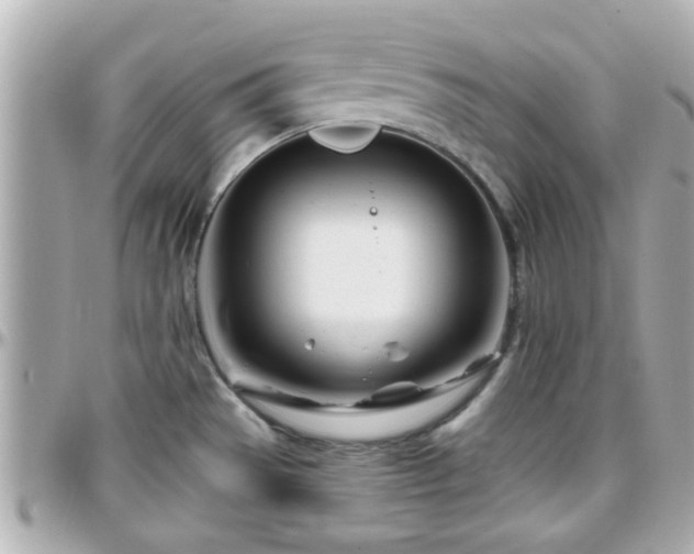 X0000096201529200801251002