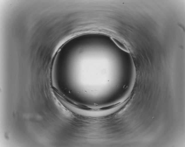 X0000096201530200801251002