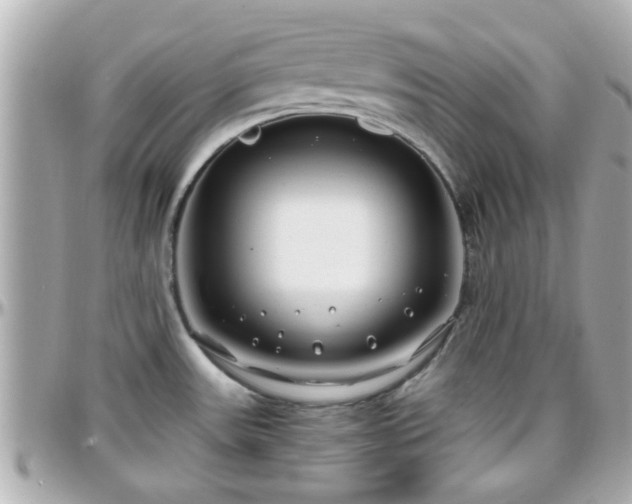 X0000096201531200801251002