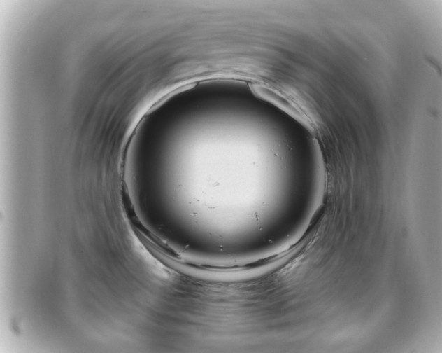 X0000096201532200801251002