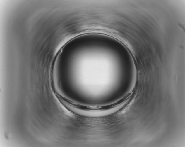 X0000096201533200801251002