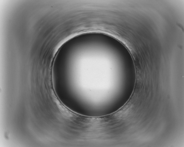 X0000096201534200801251002