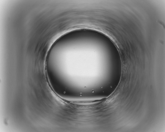 X0000096201535200801251002