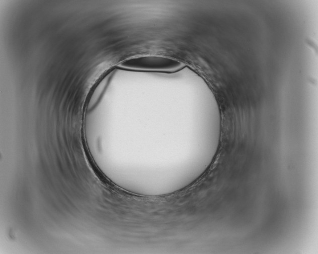 X0000096200003200802011310