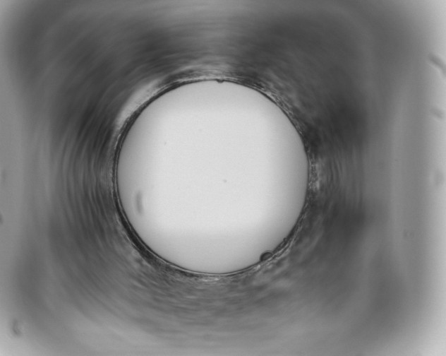 X0000096200004200802011310