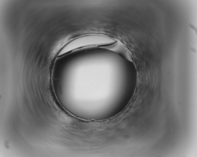 X0000096200005200802011310