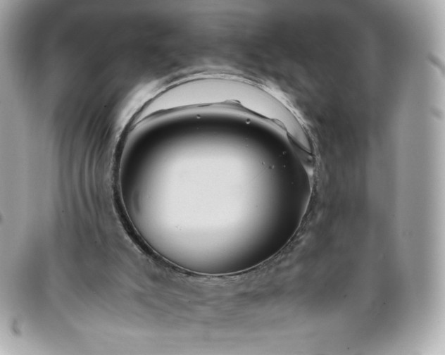 X0000096200007200802011310