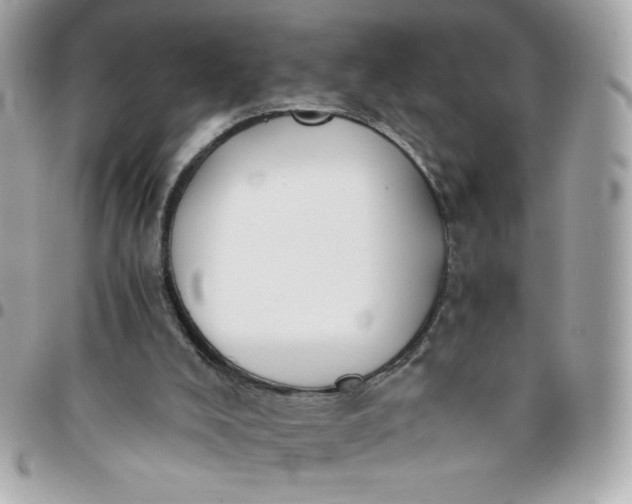 X0000096200008200802011310